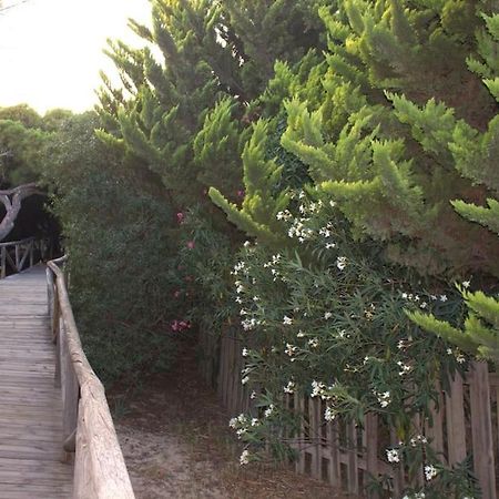 Apartament Muy Cerca De La Playa. Primera Linea. Rota Zewnętrze zdjęcie